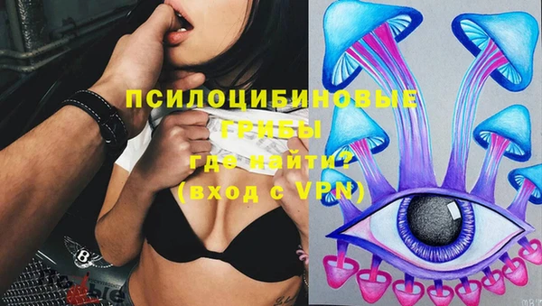 тгк Абаза