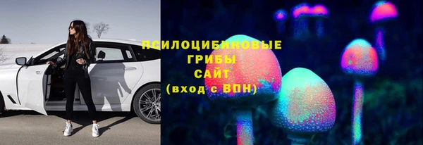 МДПВ Абинск