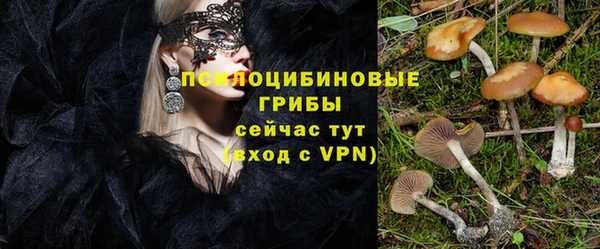 тгк Абаза