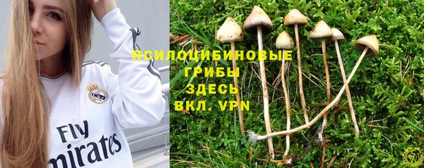 тгк Абаза